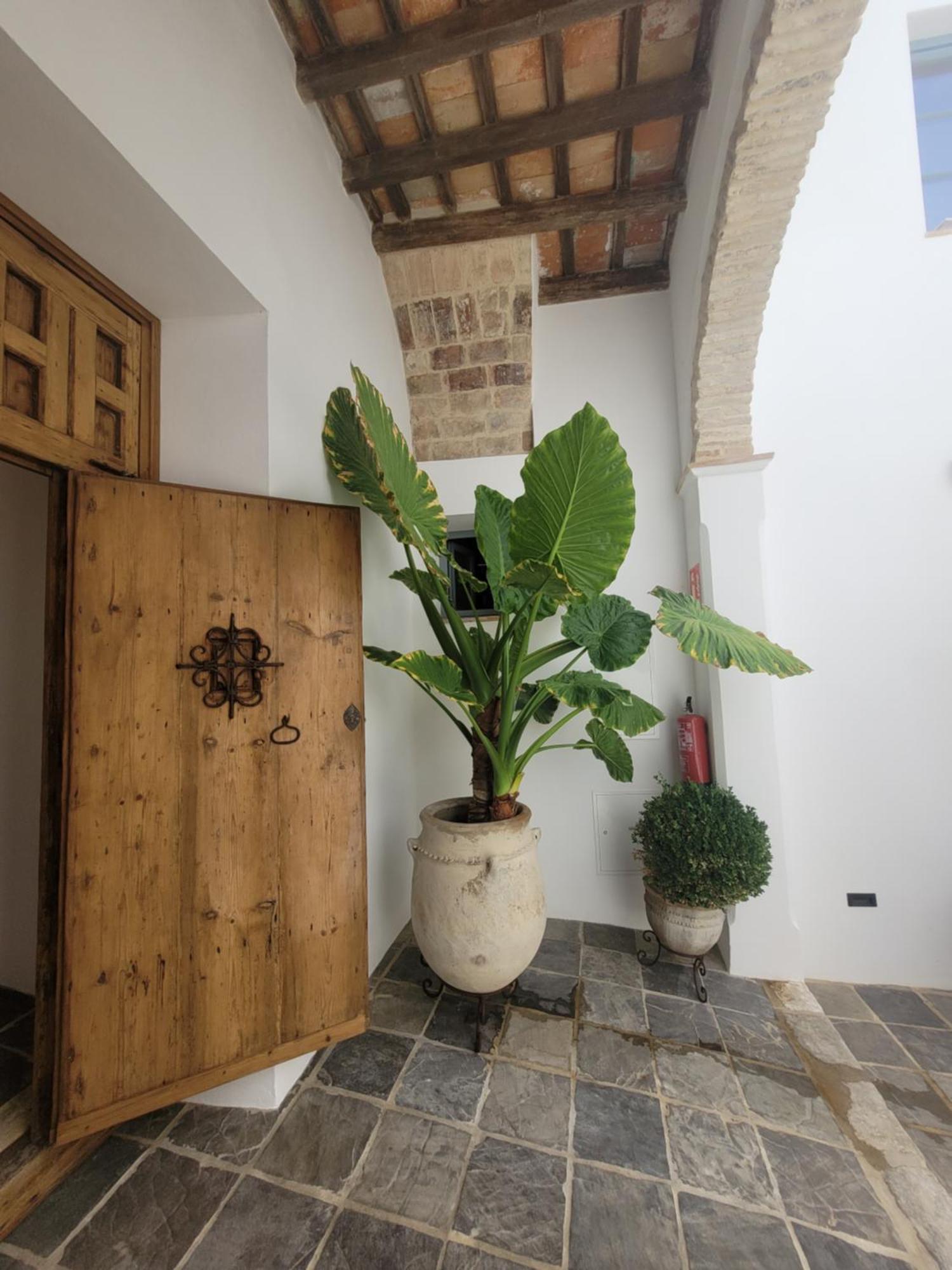 Casa Del Museo - Agua Apartment Медина Сидония Екстериор снимка